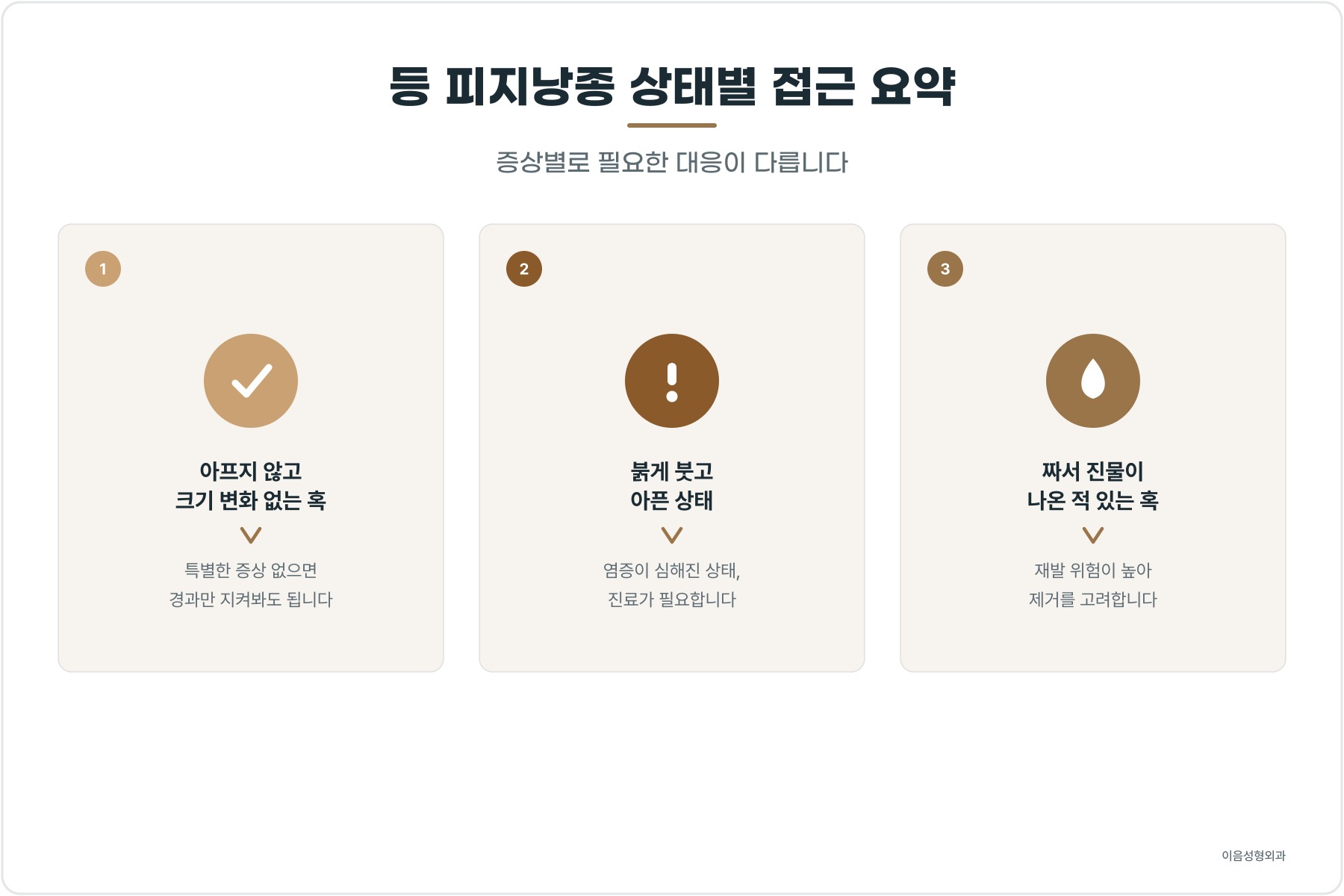 등 피지낭종 상태별 접근 요약