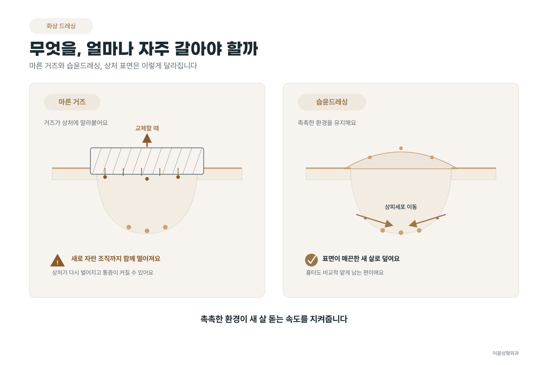마른 거즈와 습윤드레싱 아래에서 상처 표면이 달라지는 모습