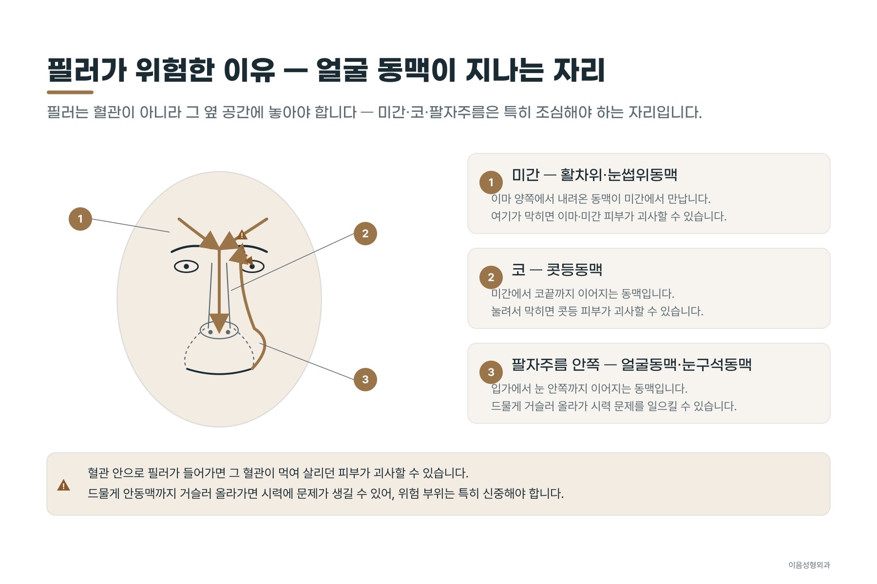 동맥이 지나가는 경로 — 미간·코·팔자주름 안쪽