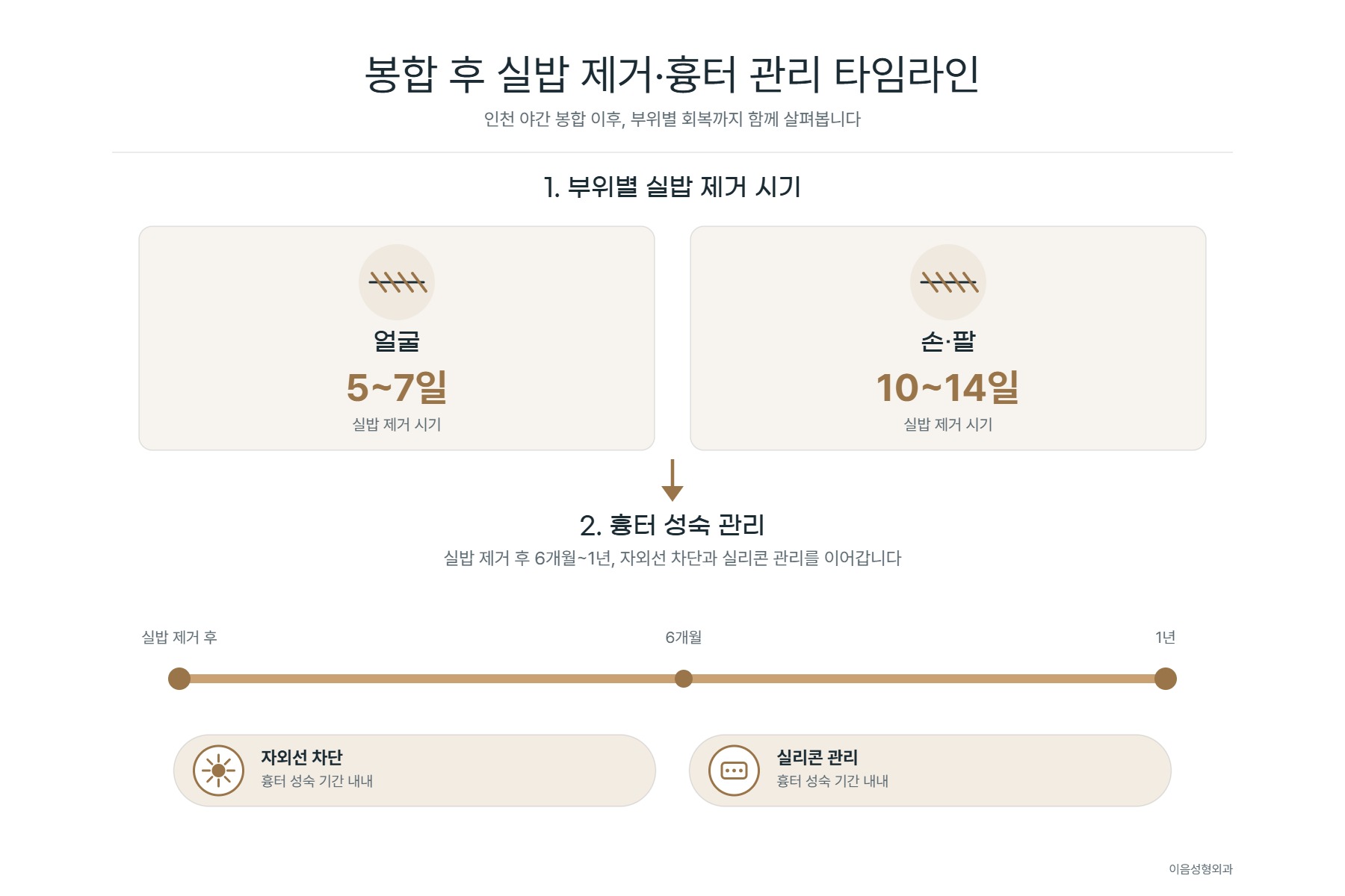 봉합 후 실밥 제거와 흉터 성숙 관리 타임라인 인포그래픽