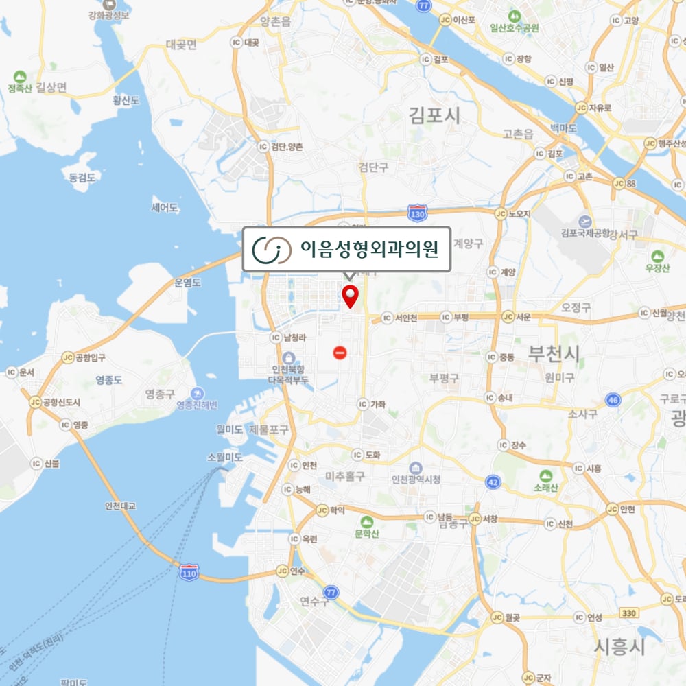 이음성형외과의원 위치 약도